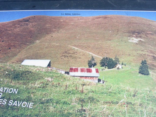 Photograph