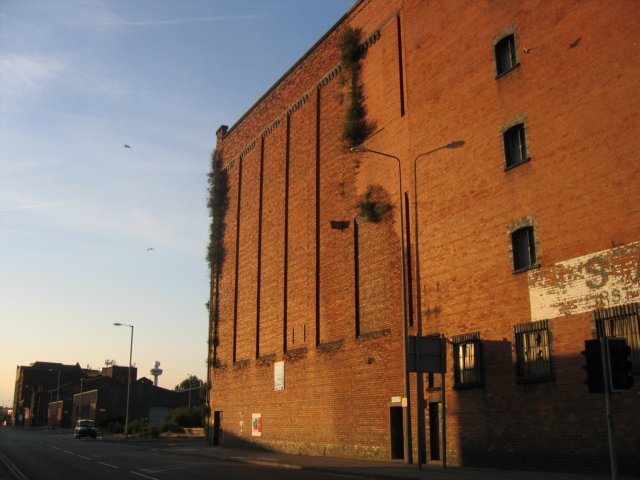 Photograph
