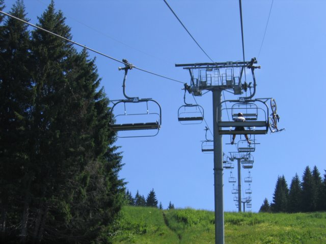 Photograph