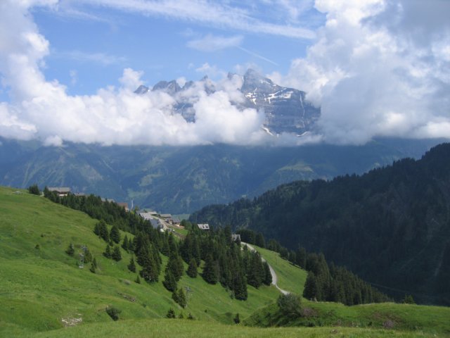 Photograph