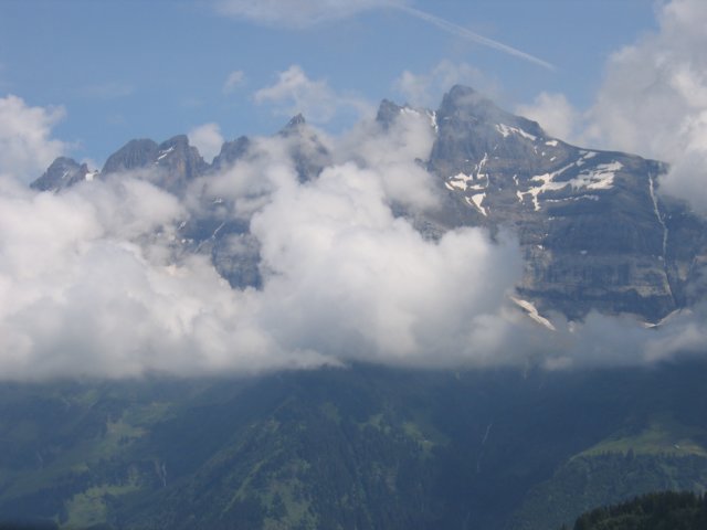 Photograph