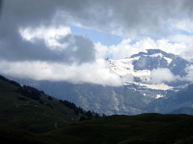 Photograph